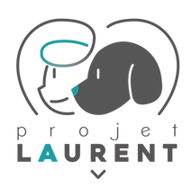 Projet Laurent